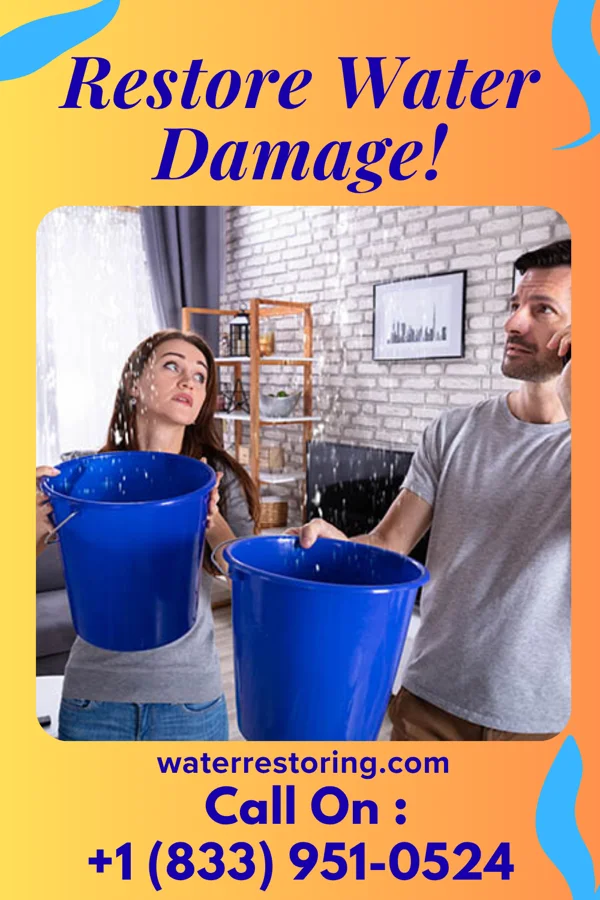 water restoration Citywide Water Damage Experts Carlisle