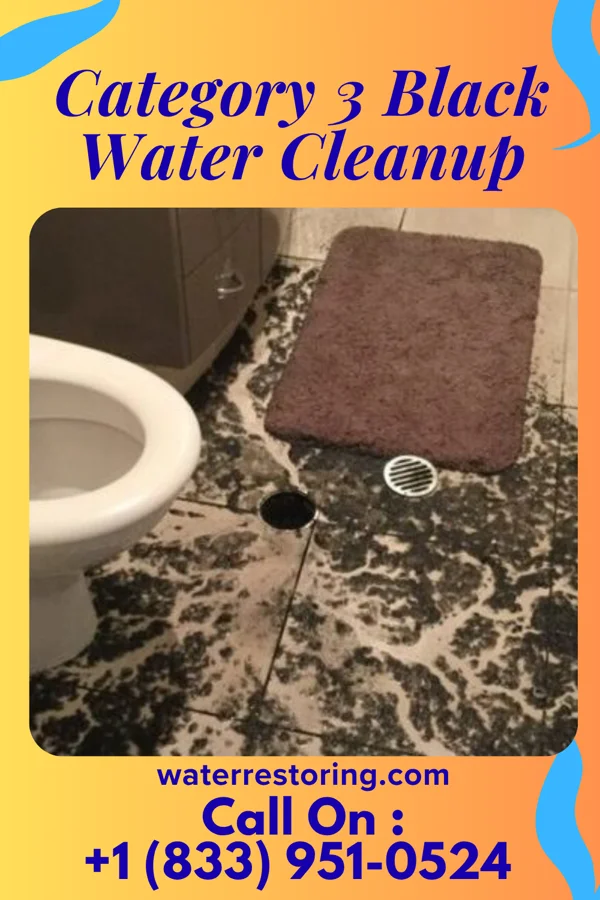 Category 3 Black Water Cleanup in Carlisle, SC