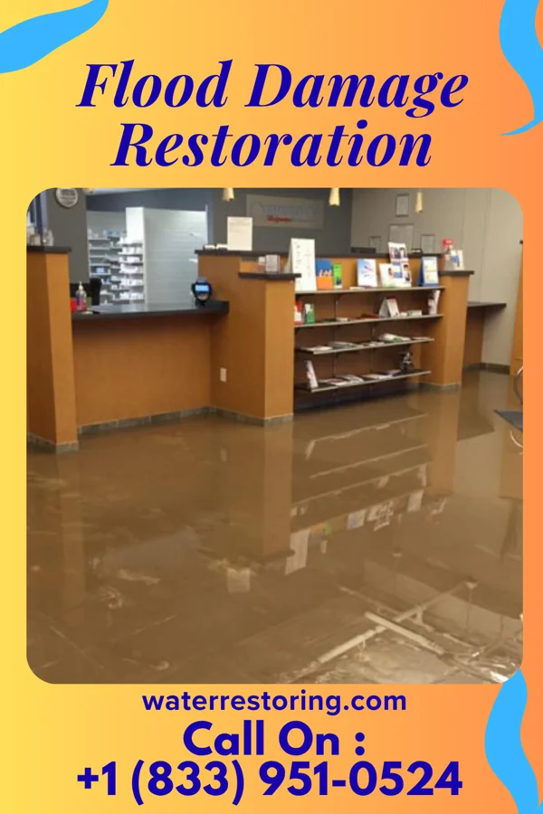 Flood Damage Restoration in Carlisle, SC