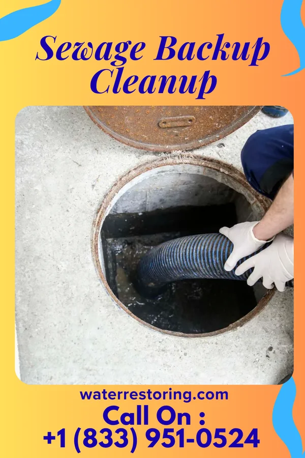 Sewage Backup Cleanup in Carlisle, SC