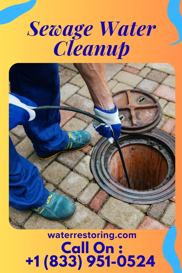 Sewage Water Cleanup in Carlisle, SC
