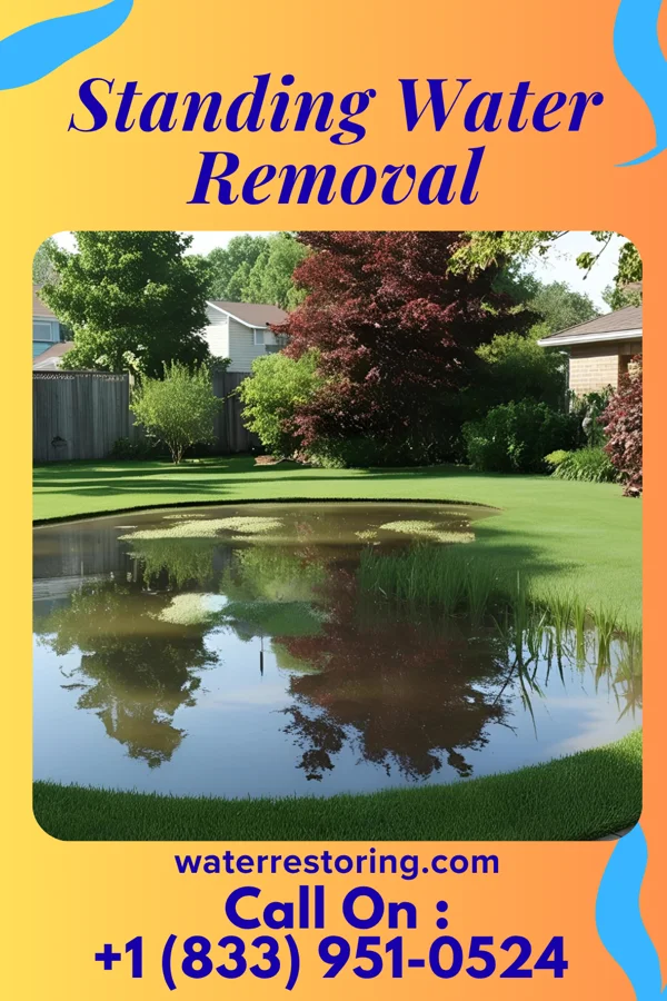 Standing Water Removal in Carlisle, SC